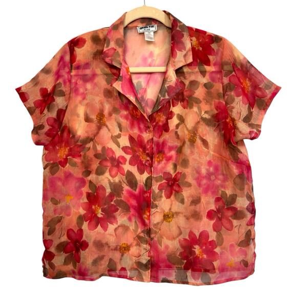 Sheer Chiffon Floral Button Top Collared 20W Garden Fairy Bloomcore Ethereal VTG - Picture 11 of 13